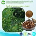 Bupleurum sinensis extract