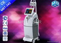 4 Handles Cryolipolysis Machine Cool Sculpting Slimming Body Shape Machine 2