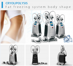 4 Handles Cryolipolysis  slimming machine
