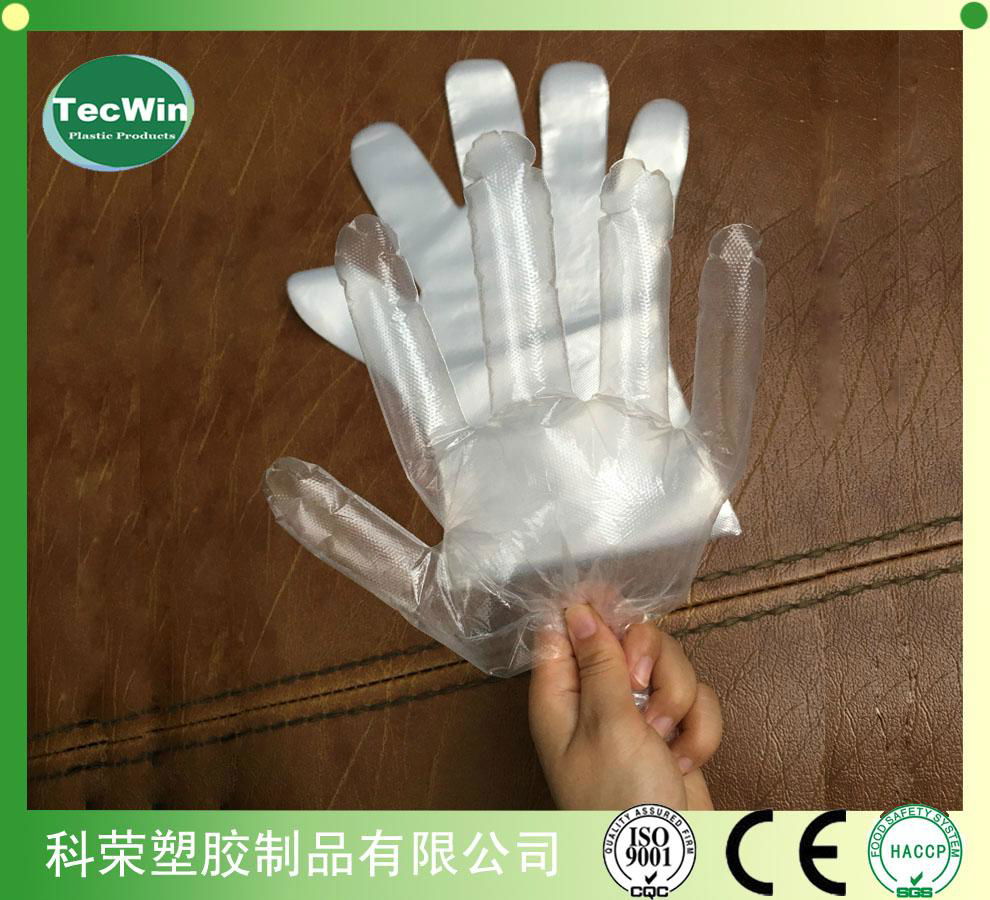 Disposable Plastic Gloves 2