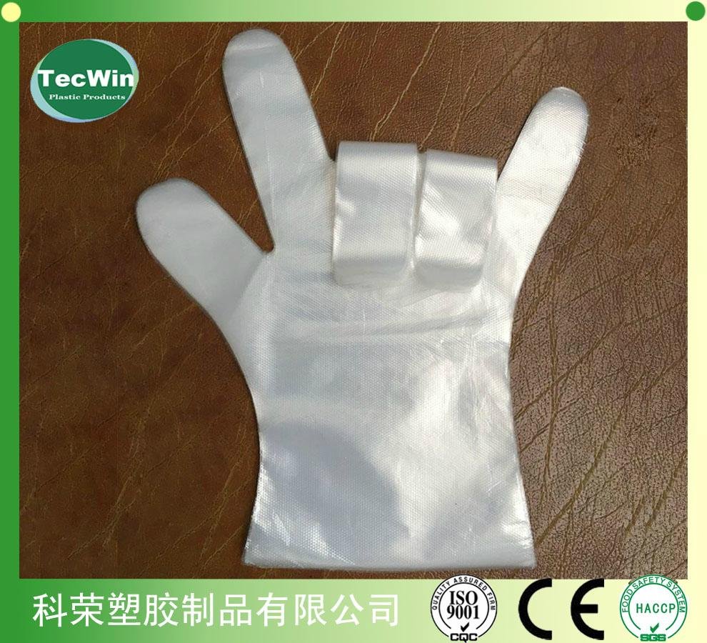 Disposable Plastic Gloves 3