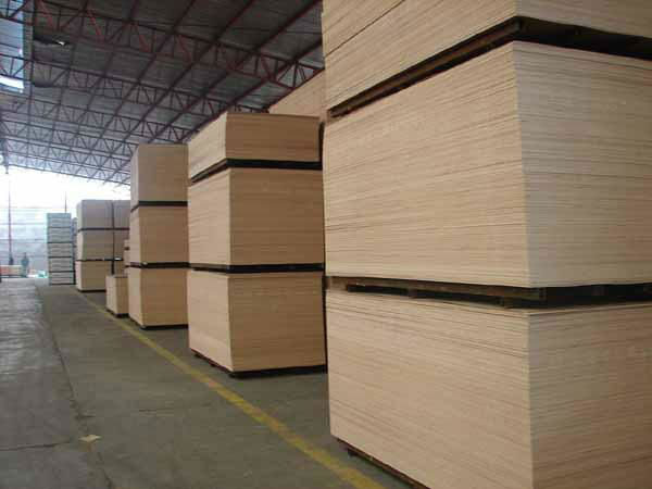 construction usage plywood  3