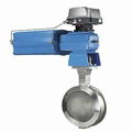 Butterfly Valves 1