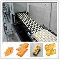 biscuit making machinery 2
