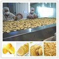 chips machine from CHINA 2016 FACTORY 4