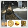 manufacturer biscuit Production Line 1