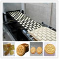 china manufacturer biscuit Production