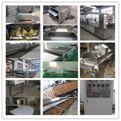 china factory automatic biscuit making machine price