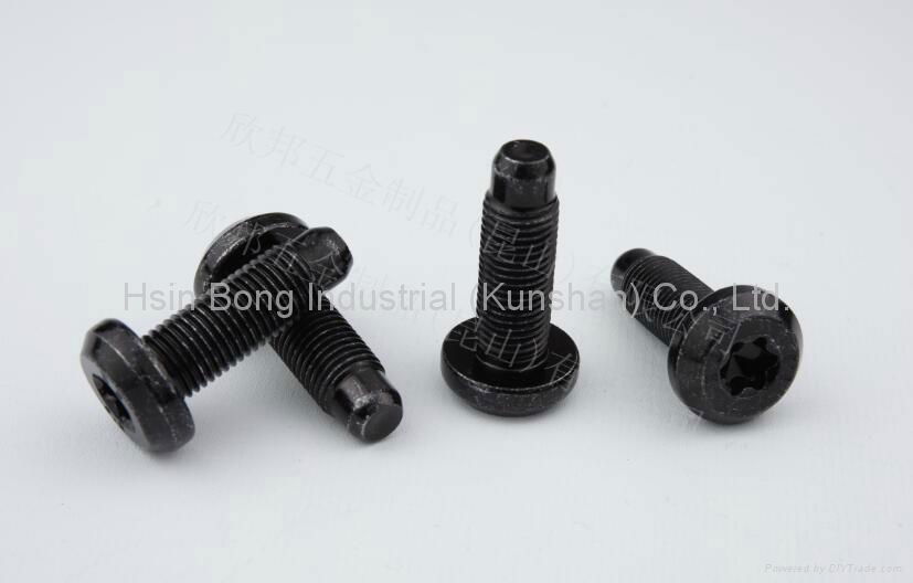 Non-standard Fasteners for Automotive Industry