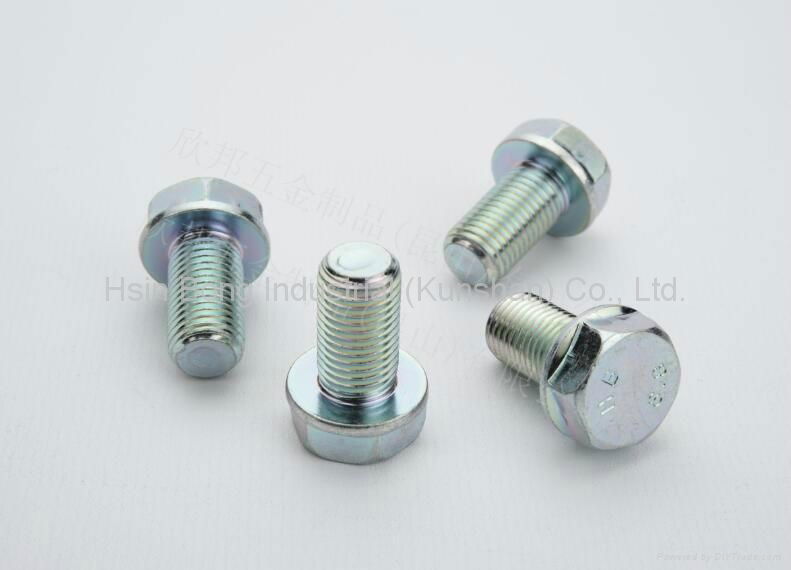 Non-standard Fasteners for Automotive Industry 2