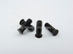 Customized Screws 