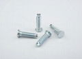 Customized Screws  2