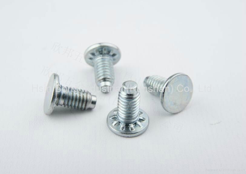 Customized Screws  3