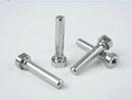 Customized Fasteners 4