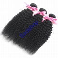 Human hair Virgin Hair Brazilian Peruvian Indian Malaysian Curly body loose Wave 5