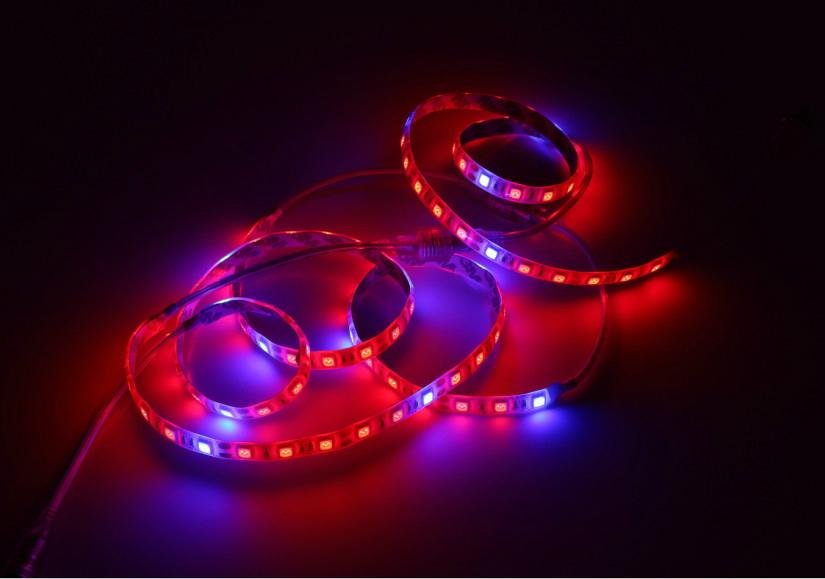 Plant light strip for agriculture products 2