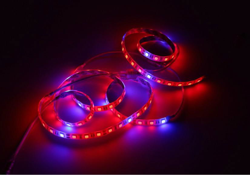 DC 12V Full Spectrum Hydroponic Plant Led Grow Strip Lights