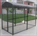 Large Outdoor Dog Kennels 2