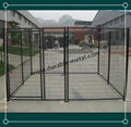 Large Outdoor Dog Kennels 1