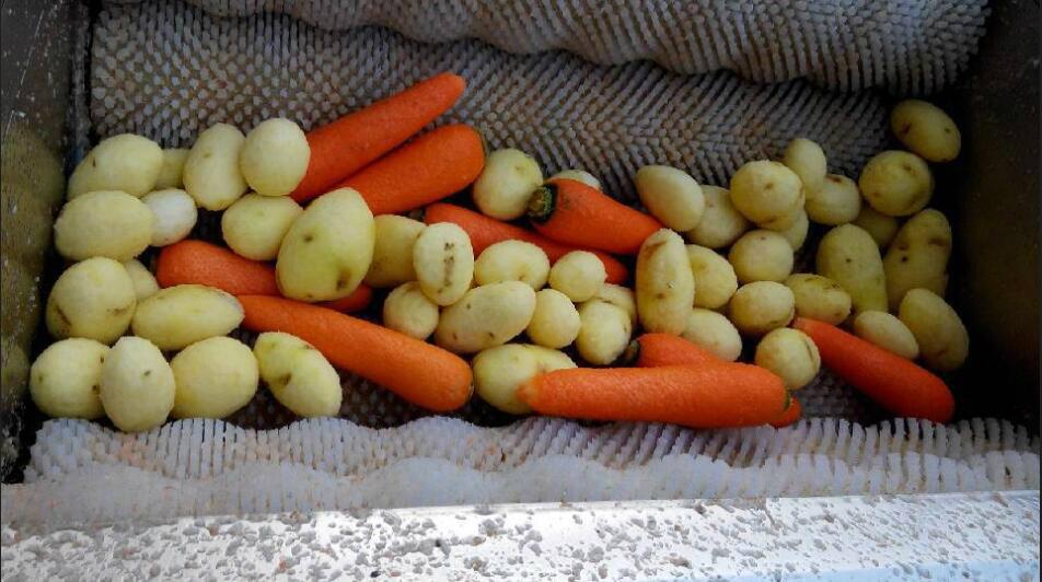 希源牌土豆去皮清洗机果蔬清洗去皮机 3
