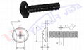 Washer-Pan Head Metric Screws 1