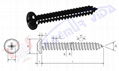 Washer-Pan Head Tapping Screws 1