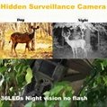 Forest Cameras OEM Factory Hunting Night Vision 940nm LED digital HC300M