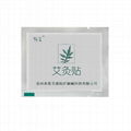 moxibustion plaster 1