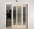 Interior Automatic Sliding Door for House Entrances