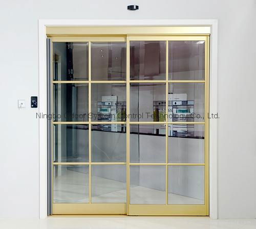 Interior Automatic Sliding Door for House Entrances 3