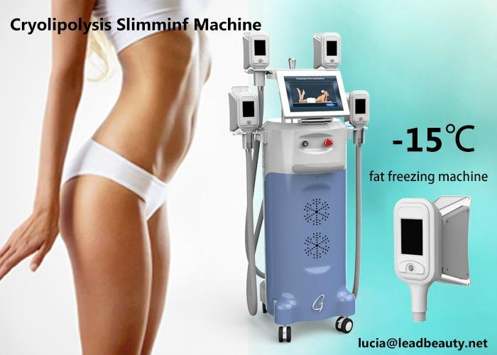 -15 ℃ fat freezing slimming Cryolipolysis slimming machine coolsculpting