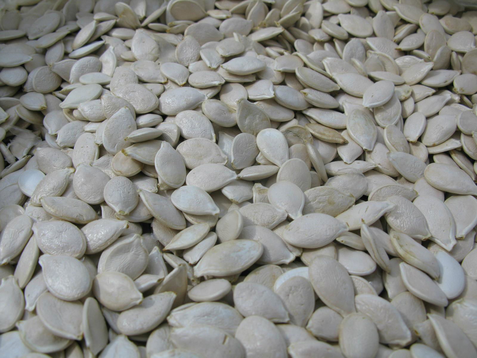 Pumpkin seeds