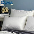 280TC 70% white duck down Pillow