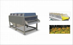 Vegetable Fruit Bush Spraying And Washing Cleaning Machine For Industrial Purpos