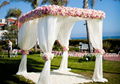 pipe and drape backdrops for wedding and events 4