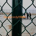 pvc coated factory direct sale chain link cultivation fence  2