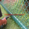 pvc coated factory direct sale chain link cultivation fence  5