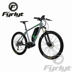 electric bicycle E-bike