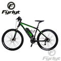 350w rear brushless motor electric bicycle