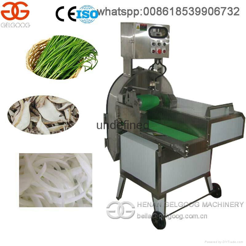 Large Type Vegetable and Fruit Cutting Machine 2