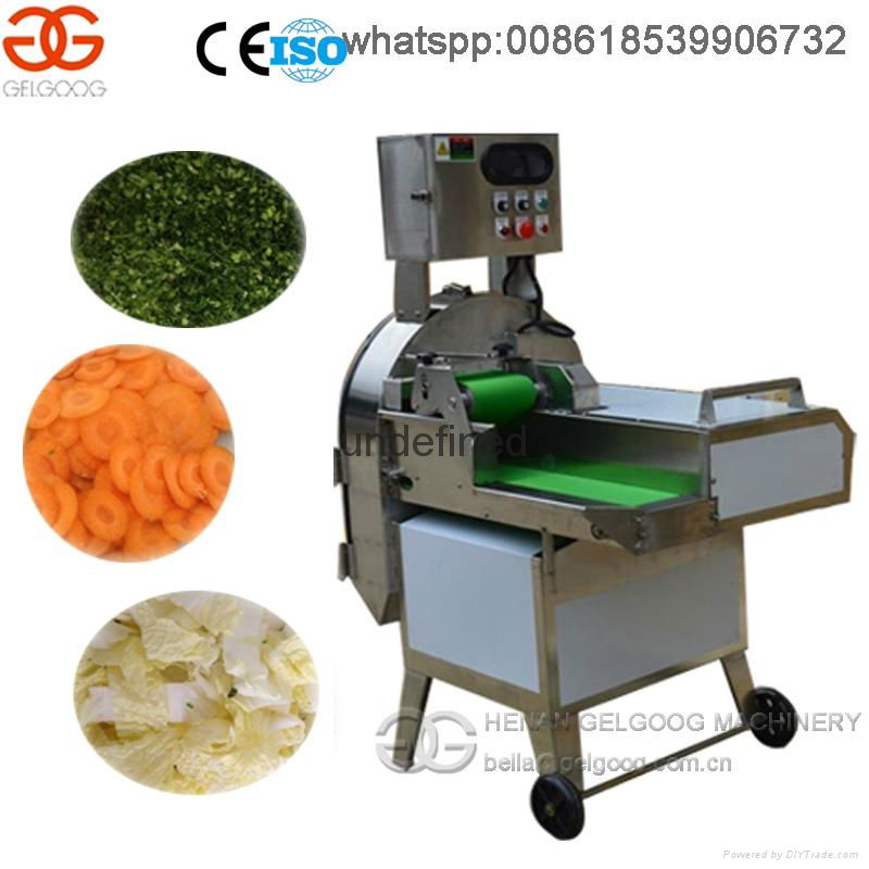 Large Type Vegetable and Fruit Cutting Machine 4