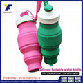 BPA Free Fruit Infuser Bottle Pink Plastic Collapsible Water Bottle 1