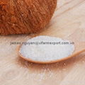 DESICCATED COCONUT LOW FAT 1