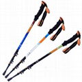 Wholesale Carbon Fiber Trekking Poles