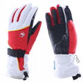 Waterproof Windproof Winter Warm Snow Skiing Snowboarding Snowmobile Ski Gloves