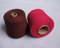 2/48nm 10%Cashmere 90%Mercerized Wool (16.5μm) Yarn 1