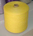 2/15nm 5%Cashmere35%Wool(19.5μm)30%Nylon30%Viscose Yarn