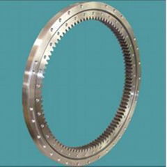 RKS Slewing Ring Bearing