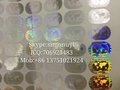 3D silver and gold globe hologram sticker for mastercard 19*13 mm