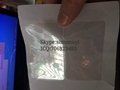 3D effect USA PP card overlay hologram for sale free shipment